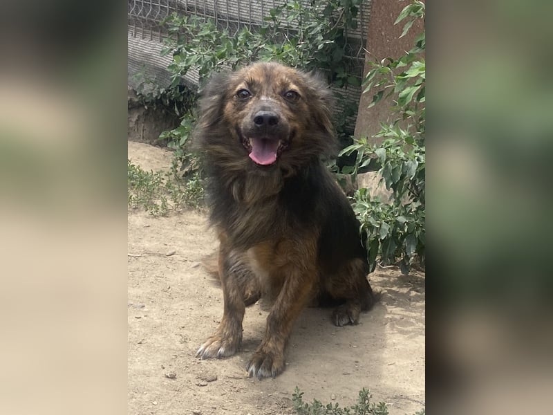 Jona - sanft und neugierig