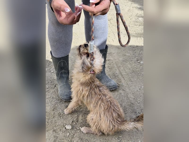 Lupita, neugierig. verspielt, offen, freundlich