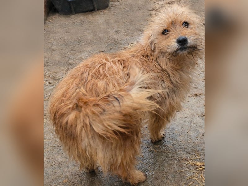 Betty - freundlich und neugierig