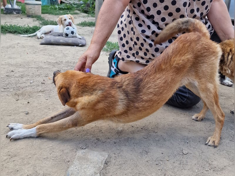 Magnus - aufgeschlossen und freundlich