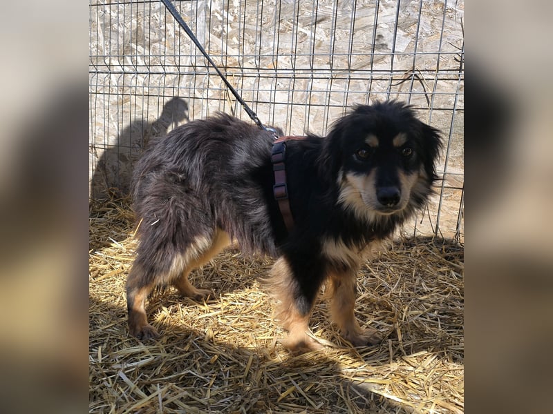 Lio - vorsichtig und neugierig