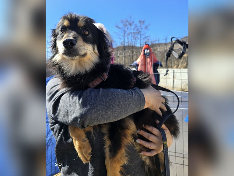 Lio - vorsichtig und neugierig