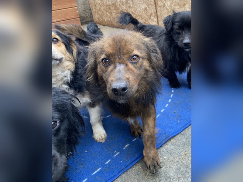 Jona - sanft und neugierig