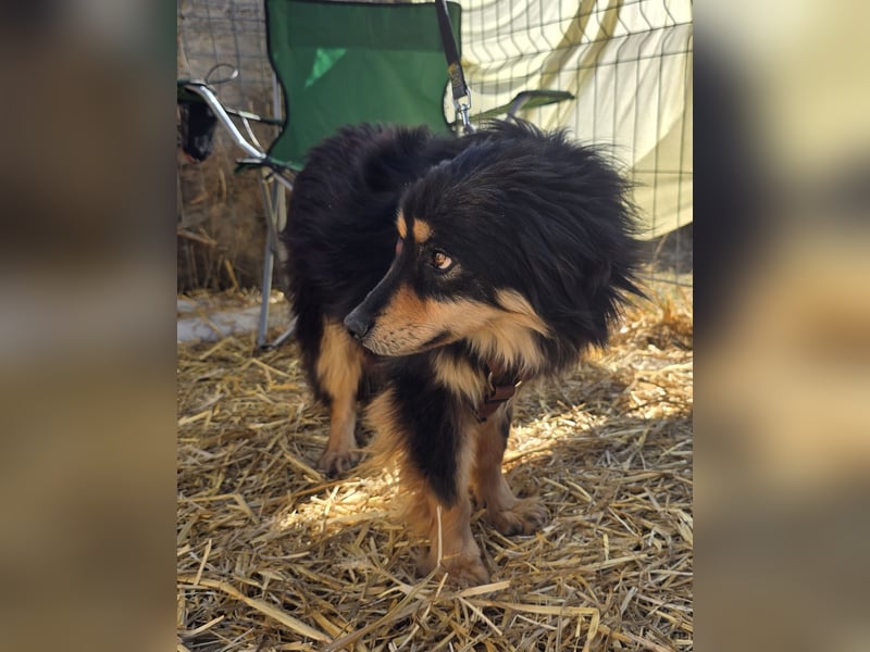 Lio - vorsichtig und neugierig