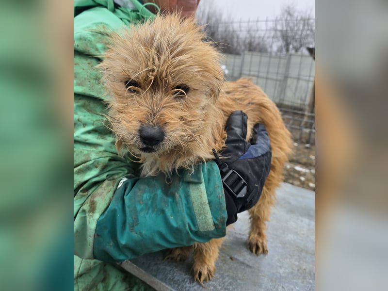 Betty - freundlich und neugierig