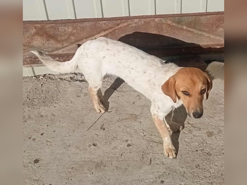 Vanja - neugierig und interessiert