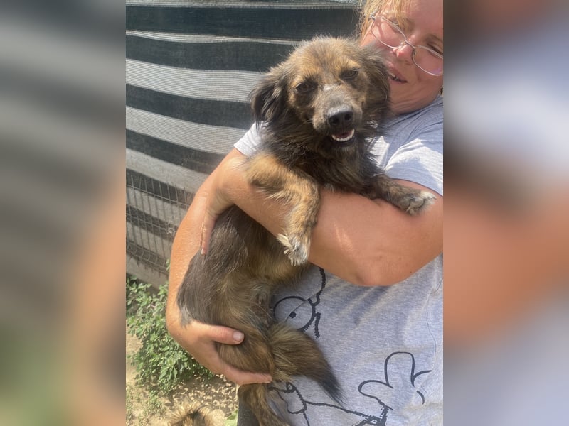 Jona - sanft und neugierig