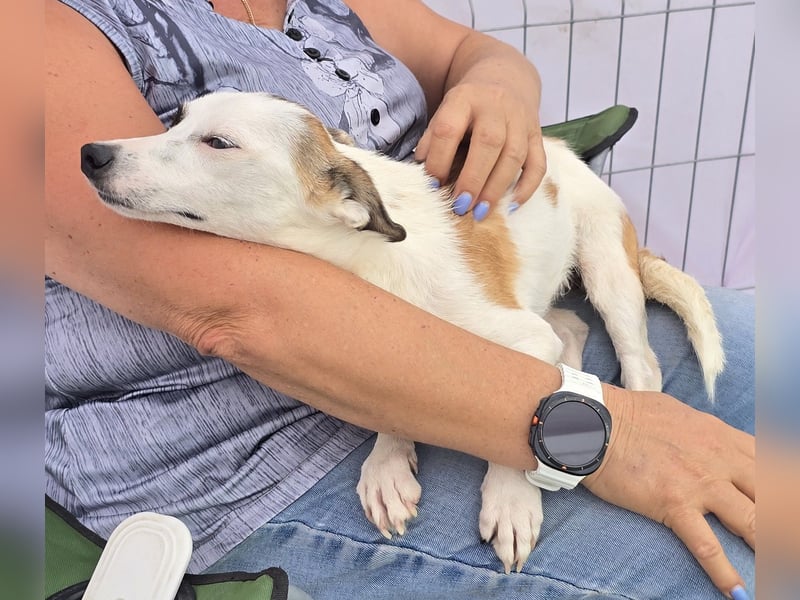 Minja - jung und verträglich