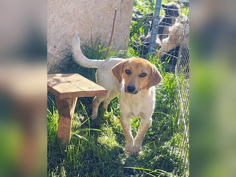 Vanja - neugierig und interessiert