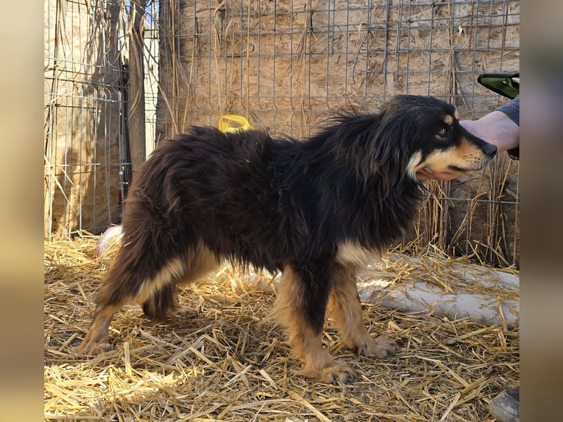 Lio - vorsichtig und neugierig