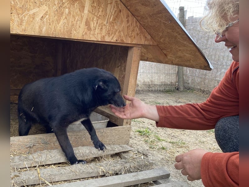Silene - sanft und verträglich