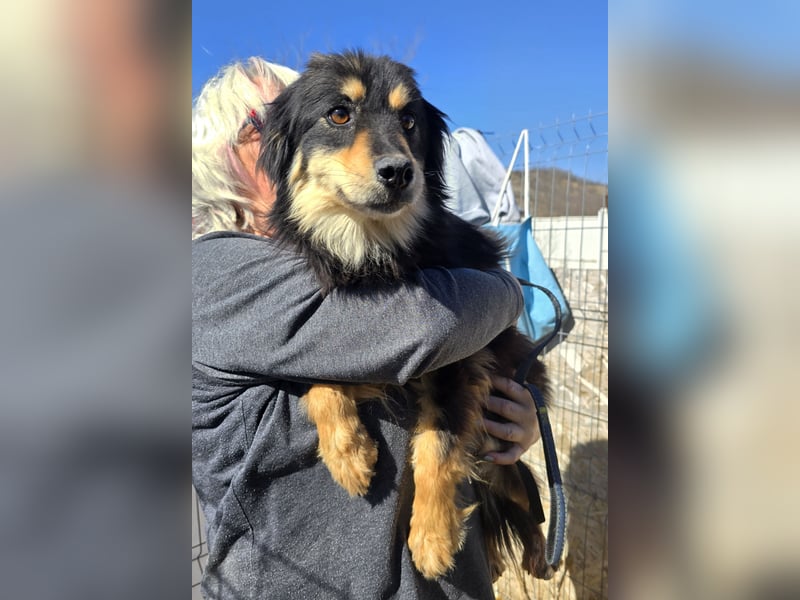 Lio - vorsichtig und neugierig