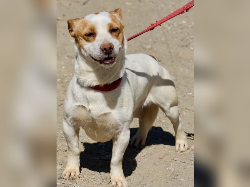 Kevin - verschmust, freundlich und aufgeweckt