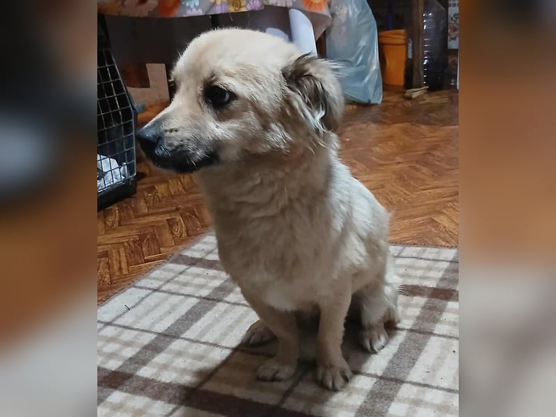 Jana -jung und neugierig