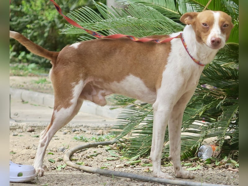 Genaro, bewegungsfreudig, lernwillig, respektvoll