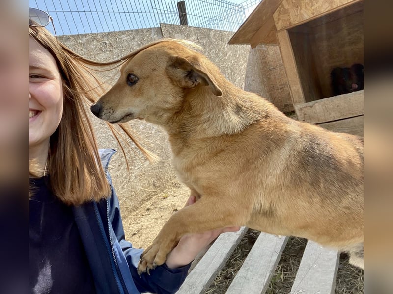 Mirko - zutraulich und verschmust, Kuschelbär