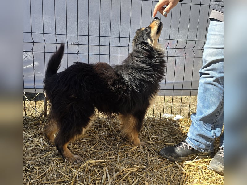 Lio - vorsichtig und neugierig