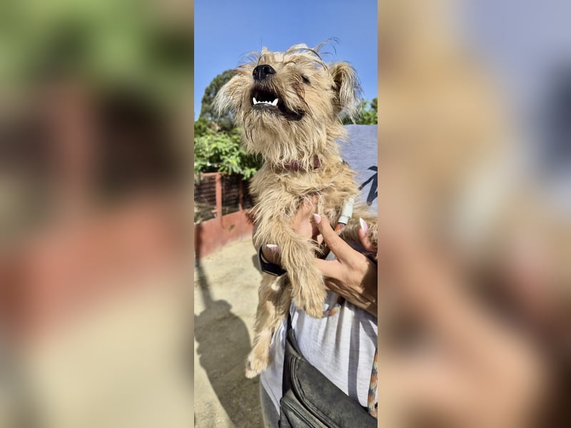Lupita, neugierig. verspielt, offen, freundlich