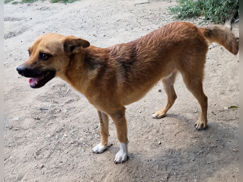 Magnus - aufgeschlossen und freundlich