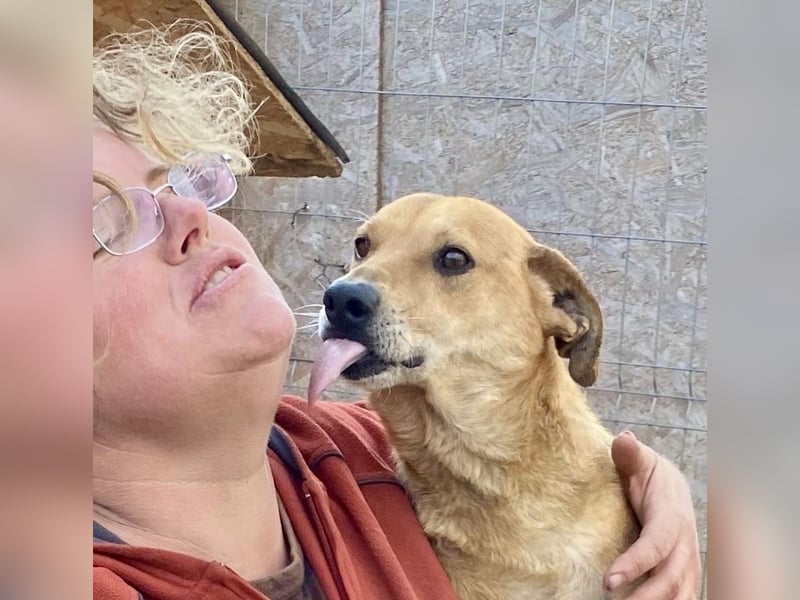 Mirko - zutraulich und verschmust, Kuschelbär