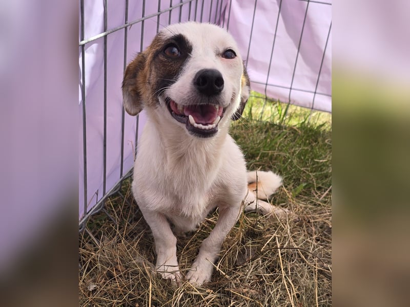 Minja - jung und verträglich