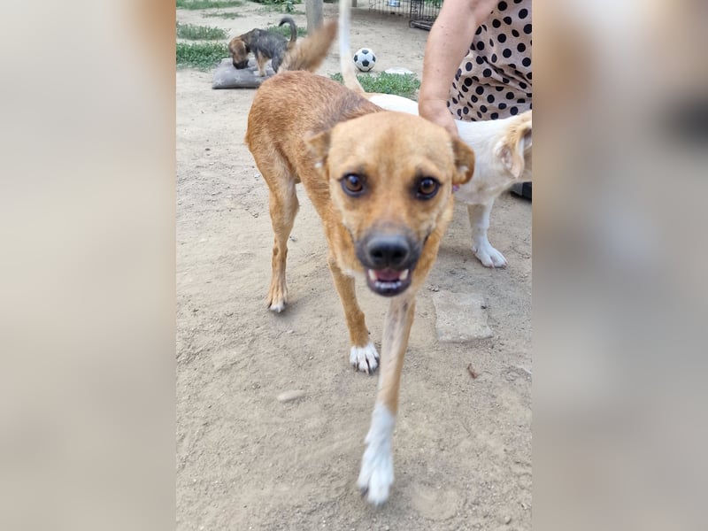 Magnus - aufgeschlossen und freundlich