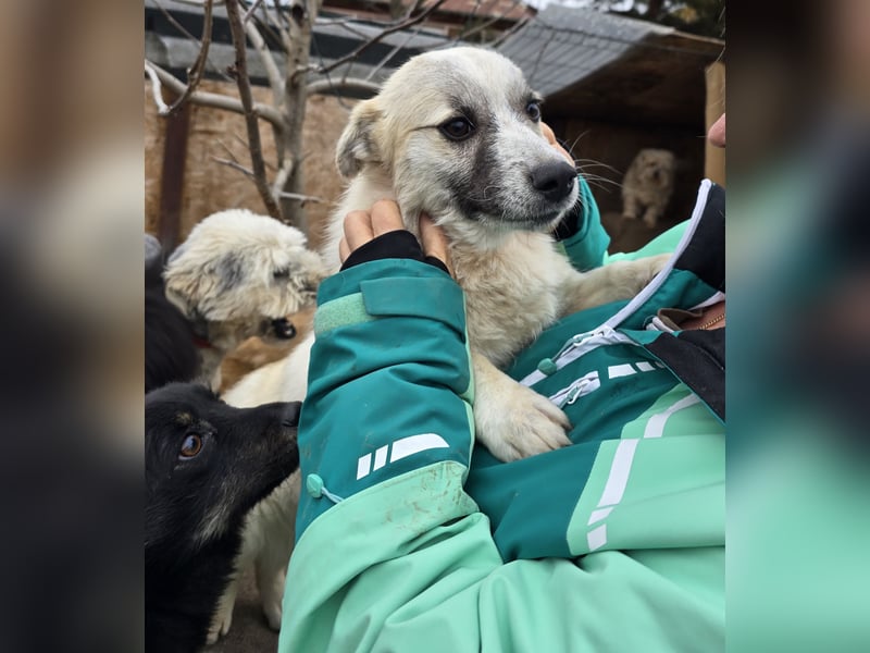 Jubata - freundlich und verschmust