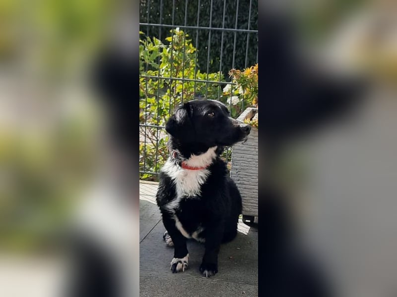 Venja – braucht emphatische Menschen