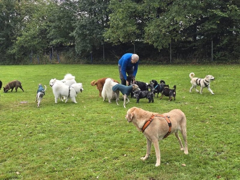 Olek rennt - und chillt und lässt sich gerne kraulen