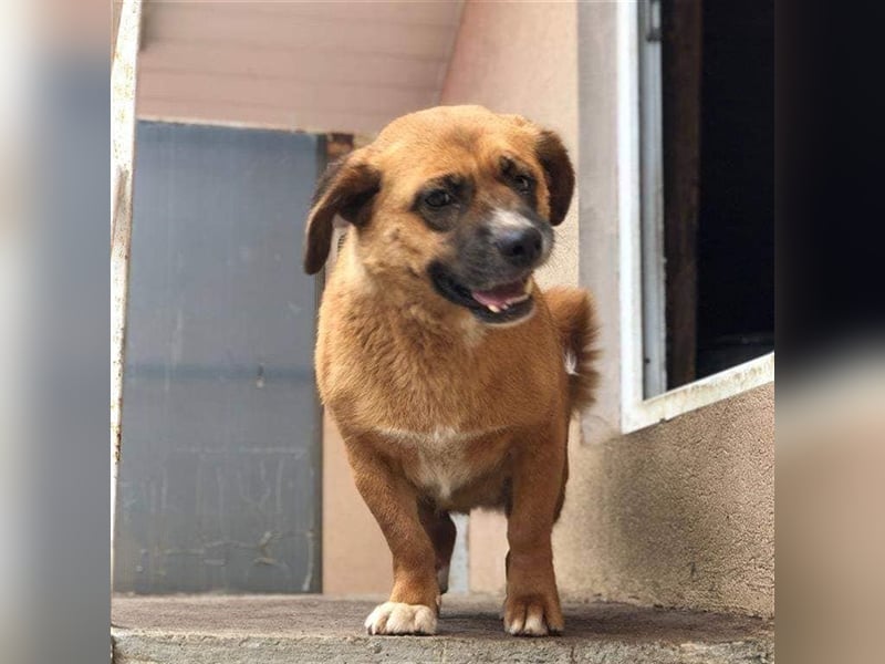 Mara die Schüchterne