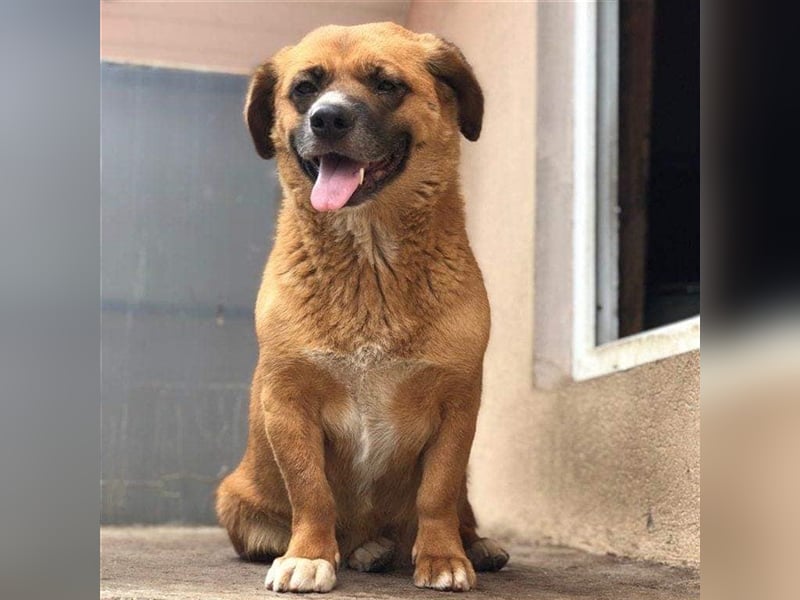 Mara die Schüchterne