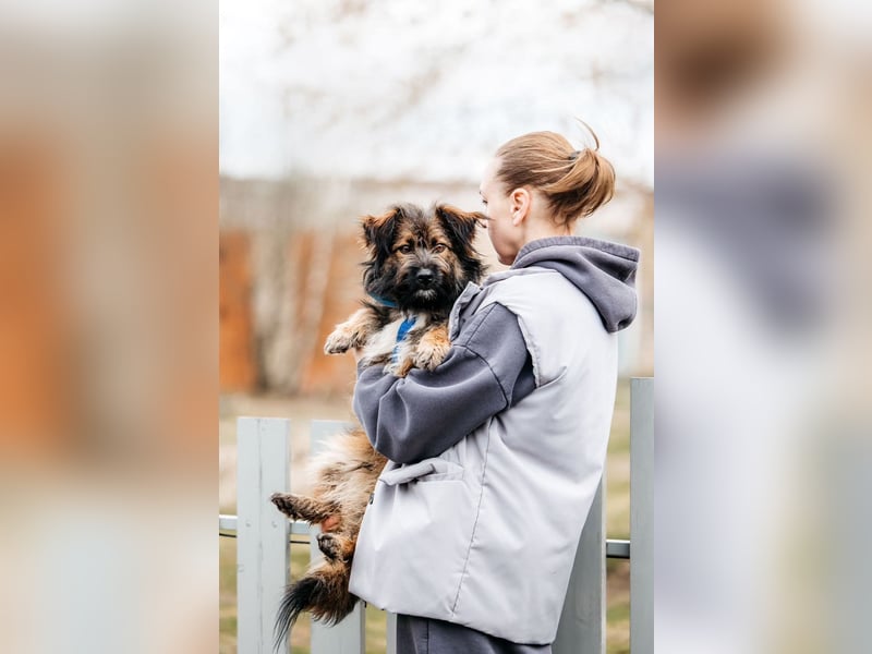 Sensibler Paul sucht sein Zuhause