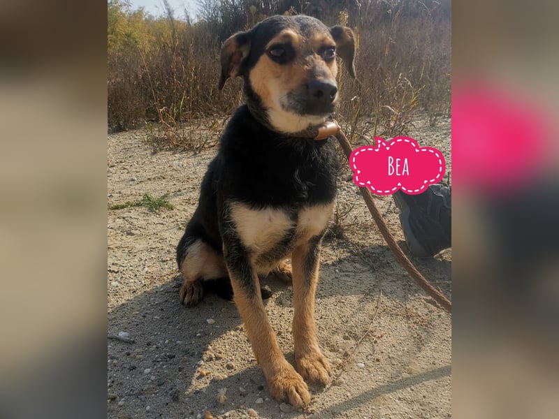 Bea ein Engel mit gebrochener Seele