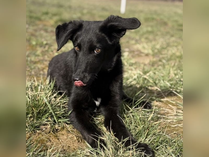 Ikko ein kleiner unglücklicher Engel