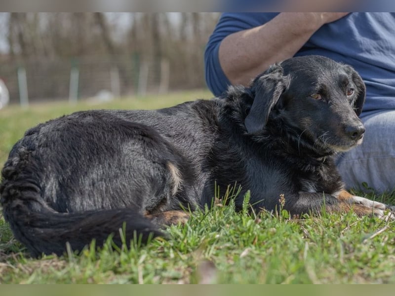 Karlo braucht erfahrene Menschen