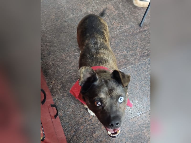 Edo - ein grausames Schicksal