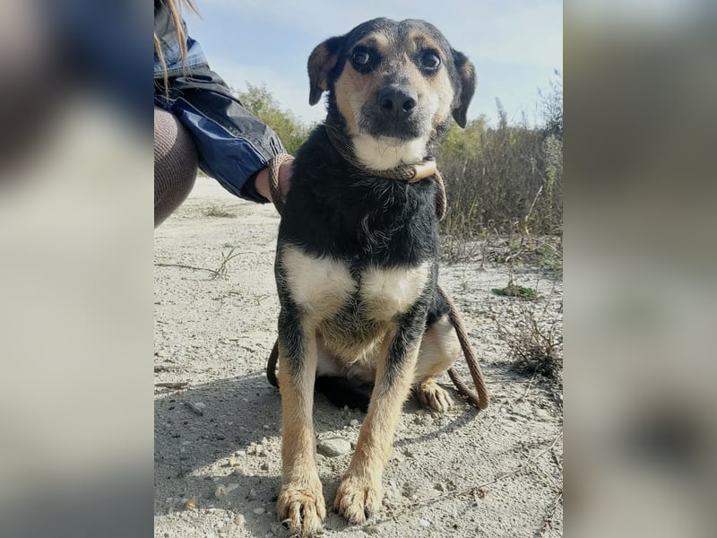 Bea ein Engel mit gebrochener Seele