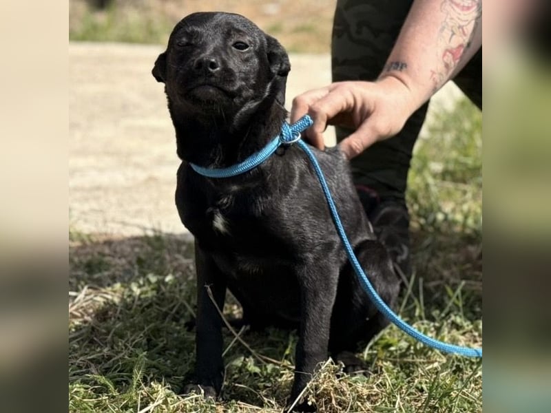 Nirvana möchte ein Zuhause