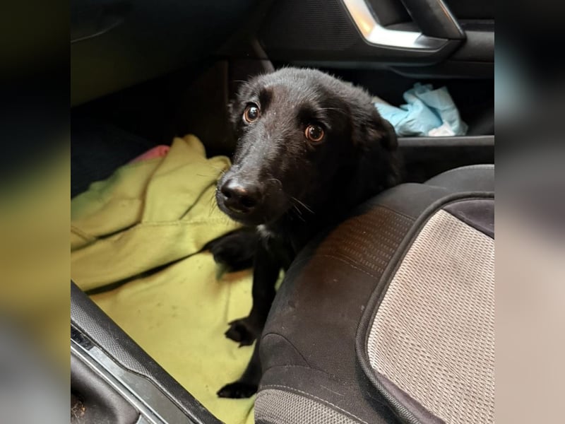 Ikko ein kleiner unglücklicher Engel