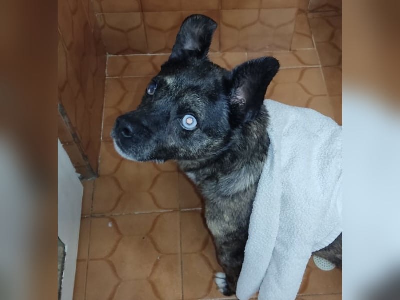 Edo - ein grausames Schicksal