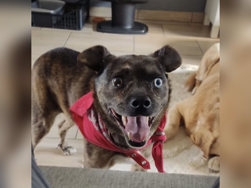 Edo - ein grausames Schicksal