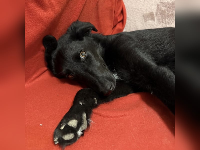 Ikko ein kleiner unglücklicher Engel