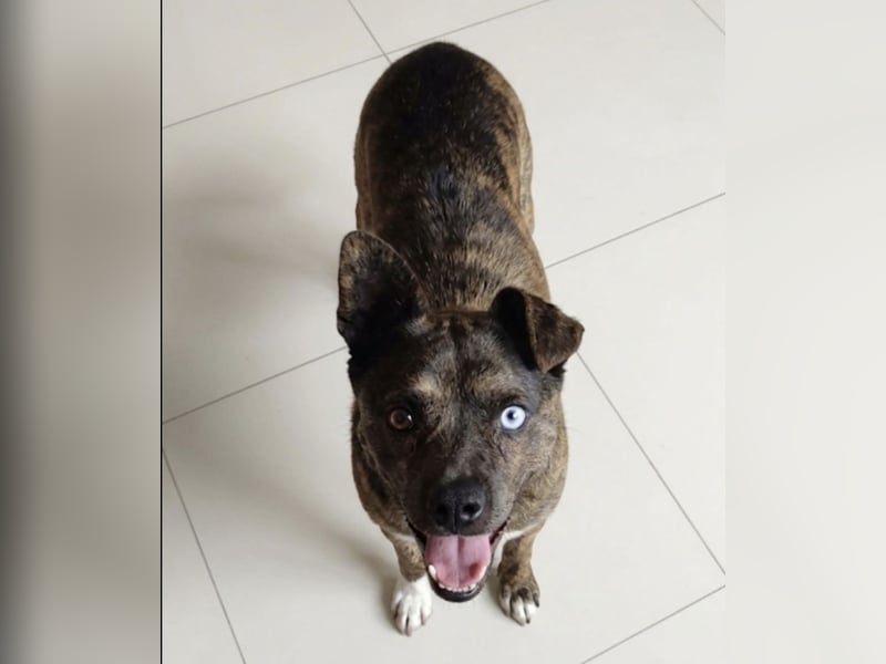 Edo - ein grausames Schicksal