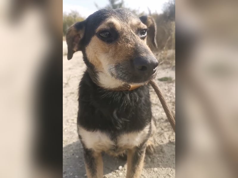 Bea ein Engel mit gebrochener Seele