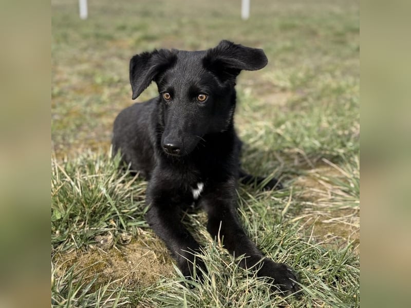 Ikko ein kleiner unglücklicher Engel