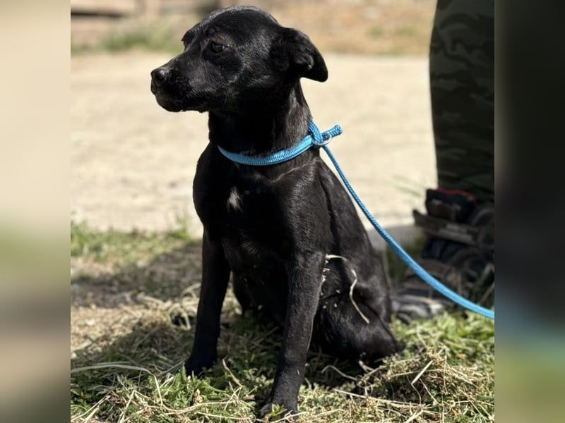 Nirvana möchte ein Zuhause