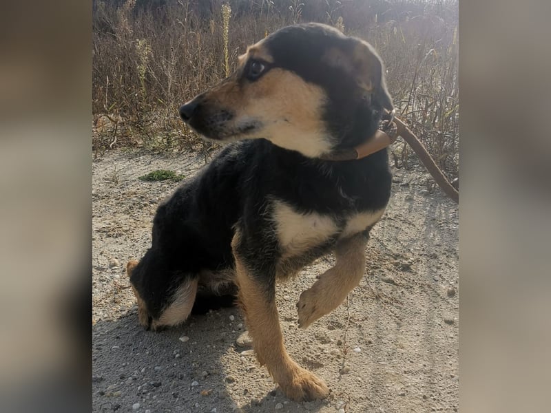 Bea ein Engel mit gebrochener Seele