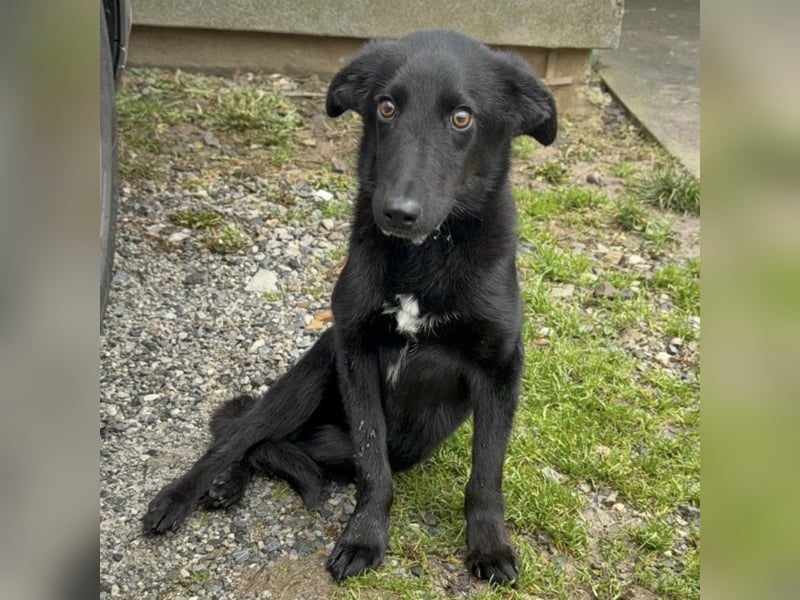 Ikko ein kleiner unglücklicher Engel