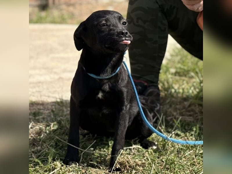 Nirvana möchte ein Zuhause