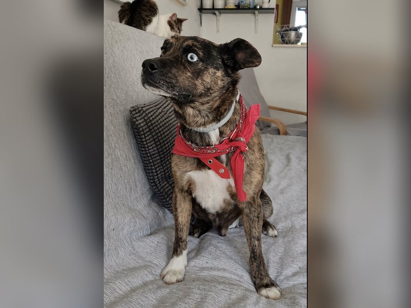 Edo - ein grausames Schicksal